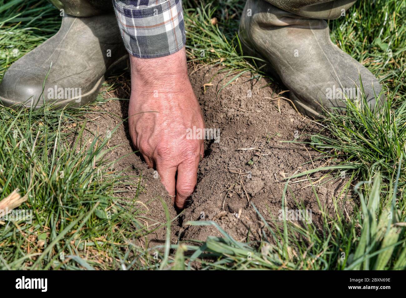 Die ganze Hand des Bauern passt schon im April in die Dürrerisse auf seiner Wiese. Stockfoto