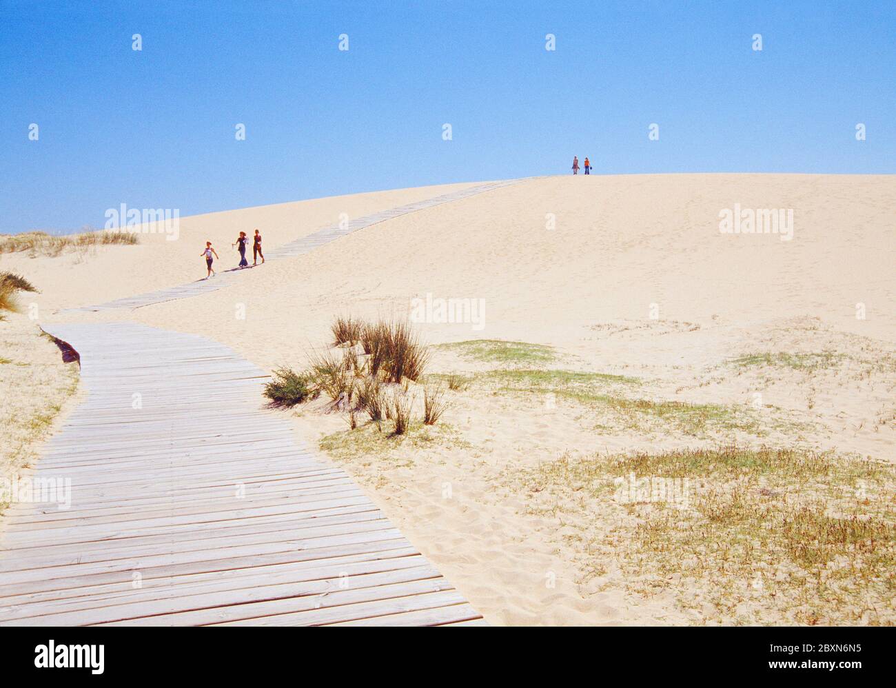 Menschen, die auf der Düne laufen. Naturschutzgebiet Dunas de Corrubedo. Provinz La Coruña. Galicien. Spanien. Stockfoto