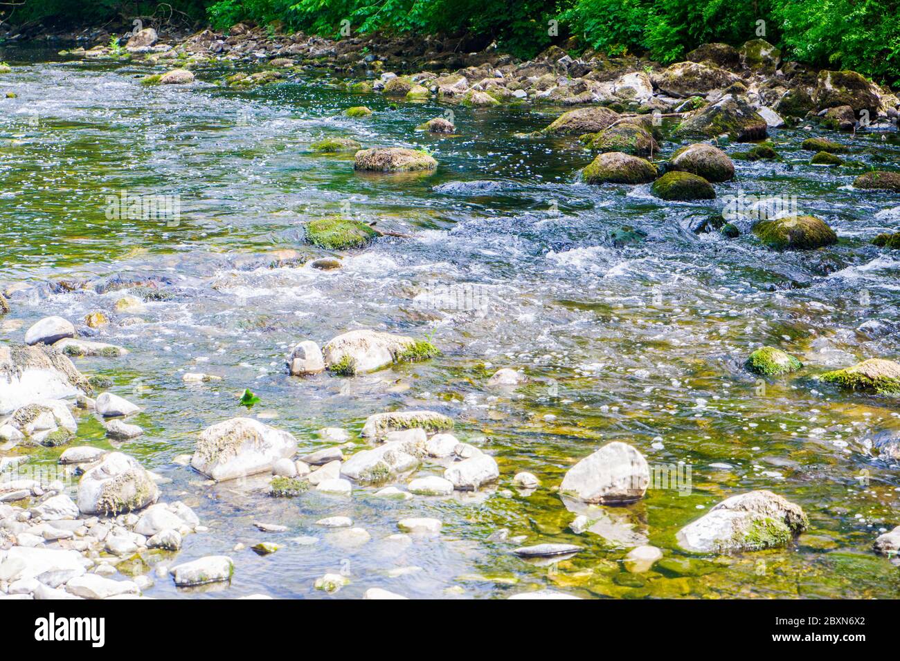 River Kent über die Felsen und Kiesel mit Baum gesäumten Banken im Sommer Stockfoto