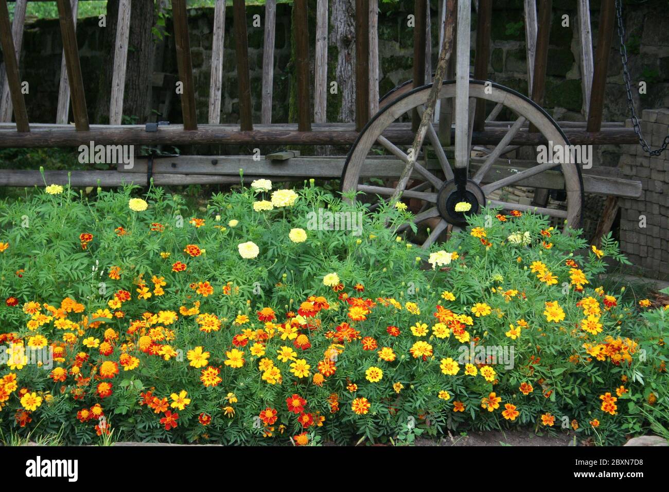 Holzleiter LKW mit Bepflanzung Stockfoto