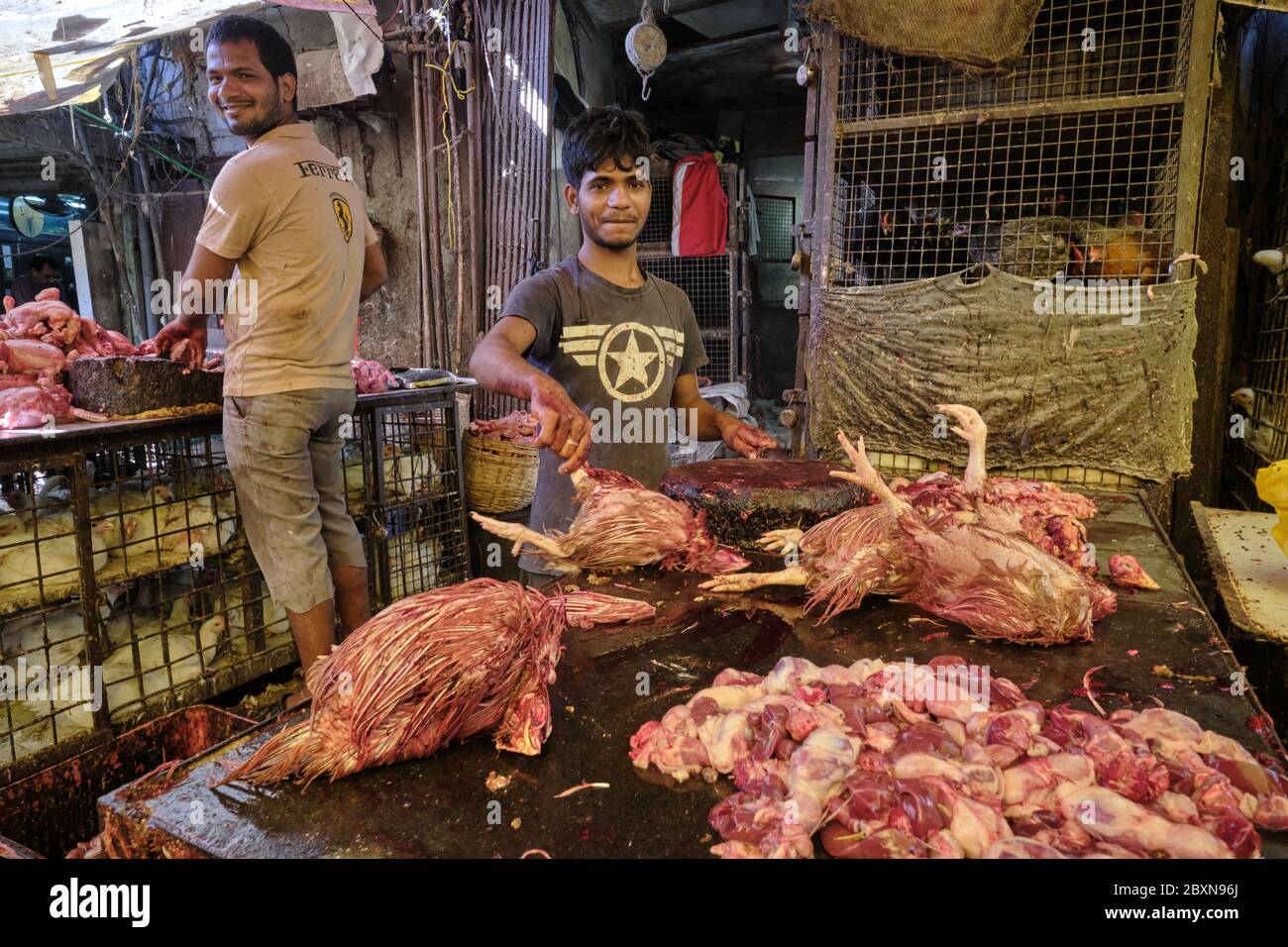 Ein muslimischer Metzger in einem Schlachthof im muslimisch dominierten Bhendi Bazar-Gebiet in Mumbai, Indien, zeigt seine frisch geschlachteten (Halal-), gerupften Hühner Stockfoto