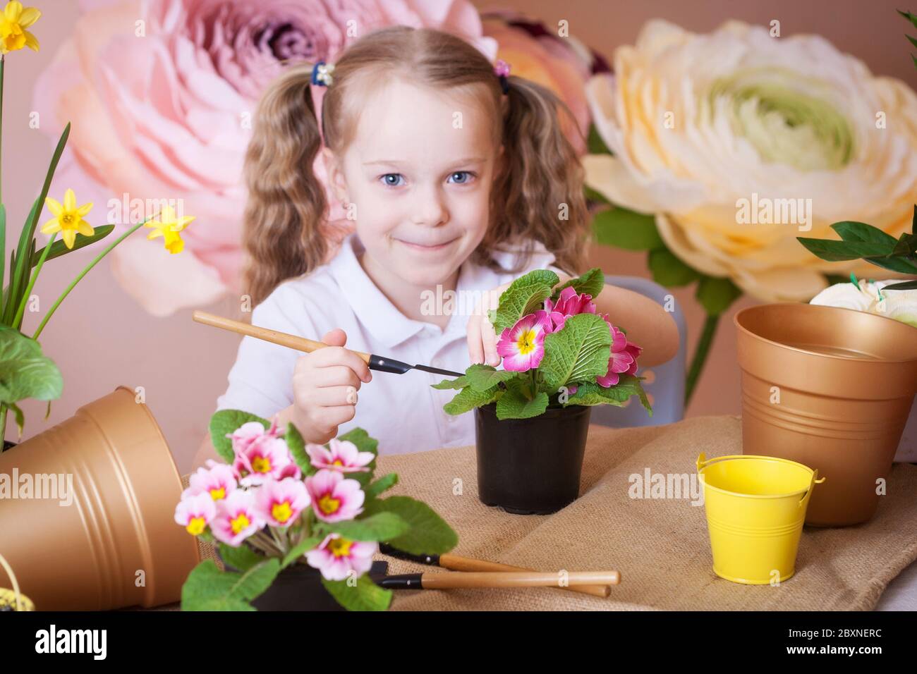 Porträt eines kleinen Mädchens mit Blumenkochblumen. Pflege für heimanes Pflanzen. Stockfoto