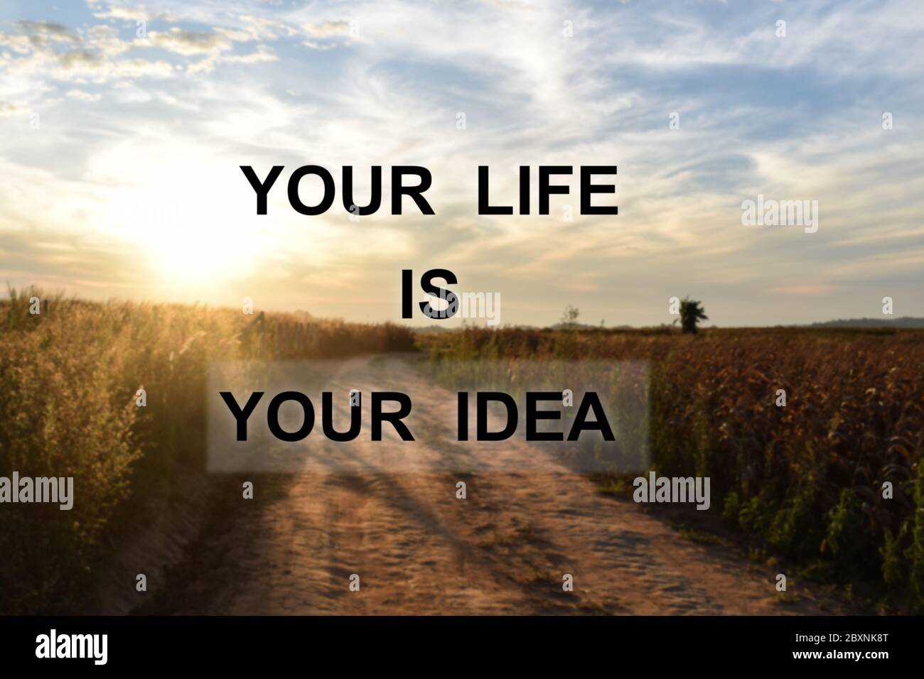 Get Motivation sonnenaufgang sprueche For Android Free