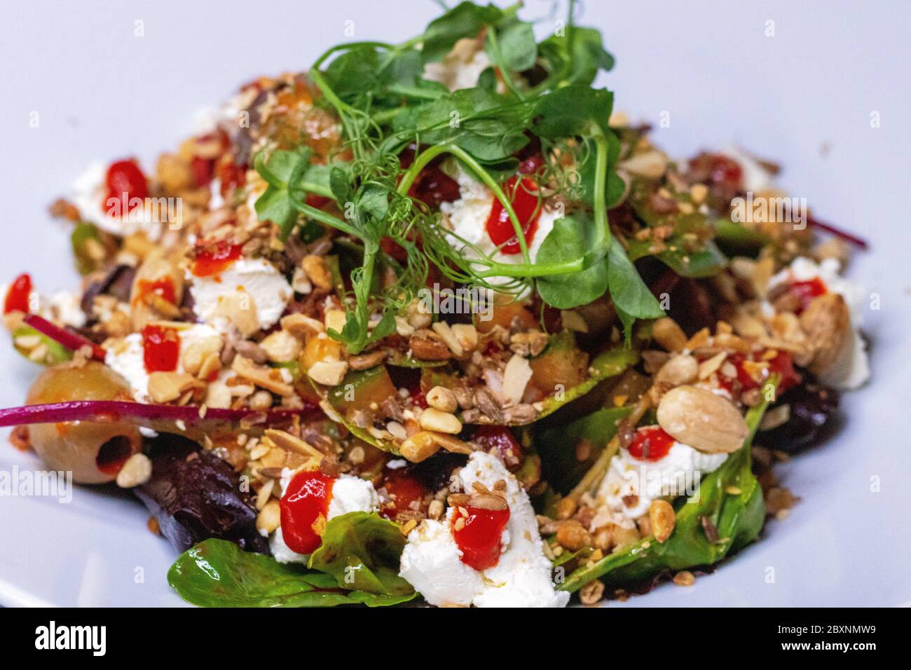 Schottischer Crowddiese-Salat mit gerösteten Nüssen und rotem Pfeffer Stockfoto