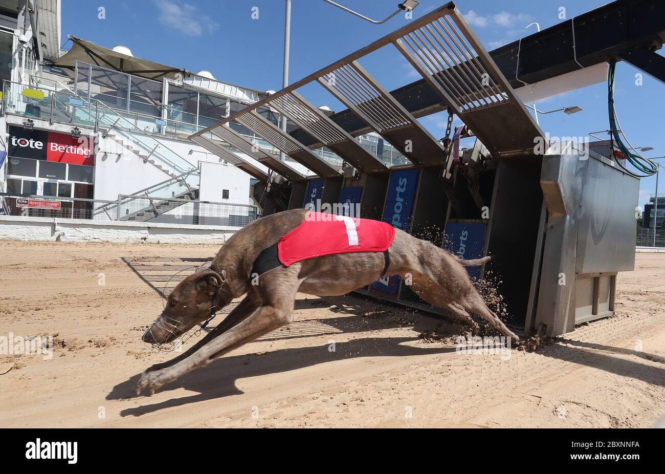 Ein Windhund namens Deep Sleep nimmt an einem Zeitfahren im Shelbourne Park Greyhound Stadium in Dublin Teil, während Irland seine Lockerung der Beschränkungen für die Sperrung des Coronavirus fortsetzt. Stockfoto