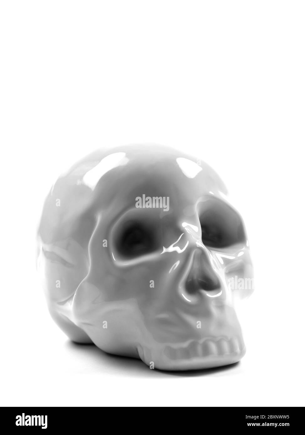 Ein Modell menschlicher Schädel auf dem weißen Hintergrund isoliert Stockfoto