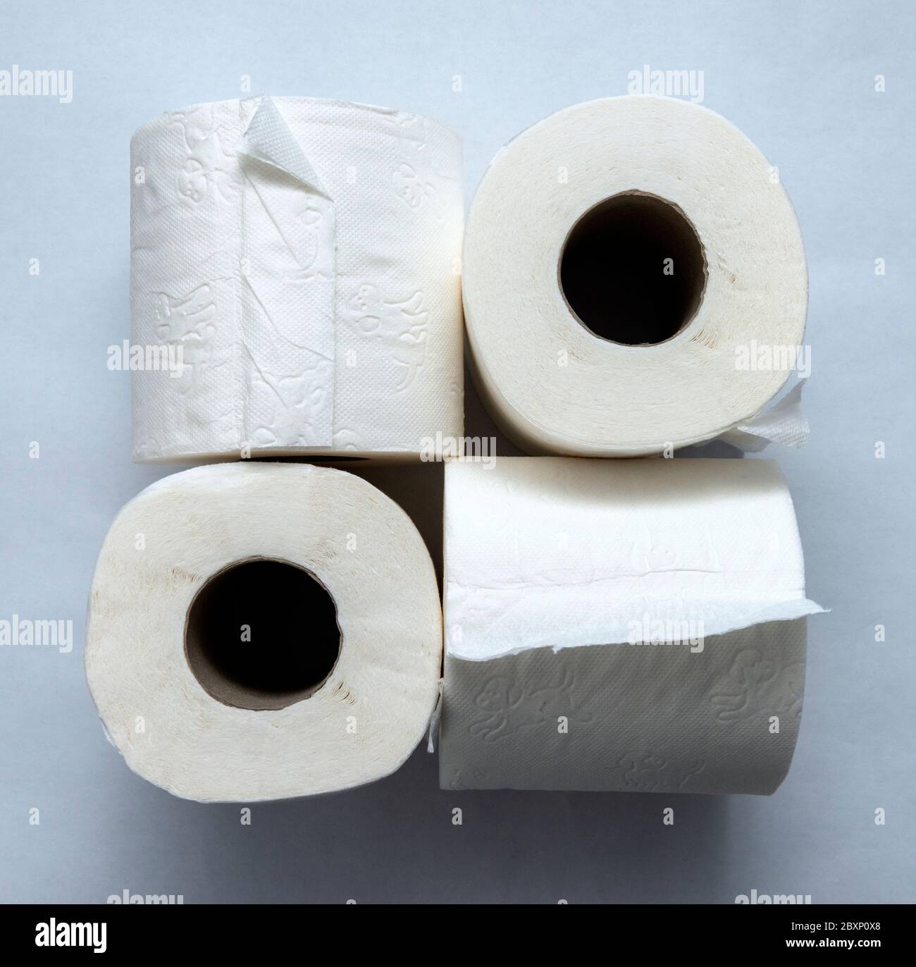 Toilettenpapier Rollen auf weißem Hintergrund Stockfoto