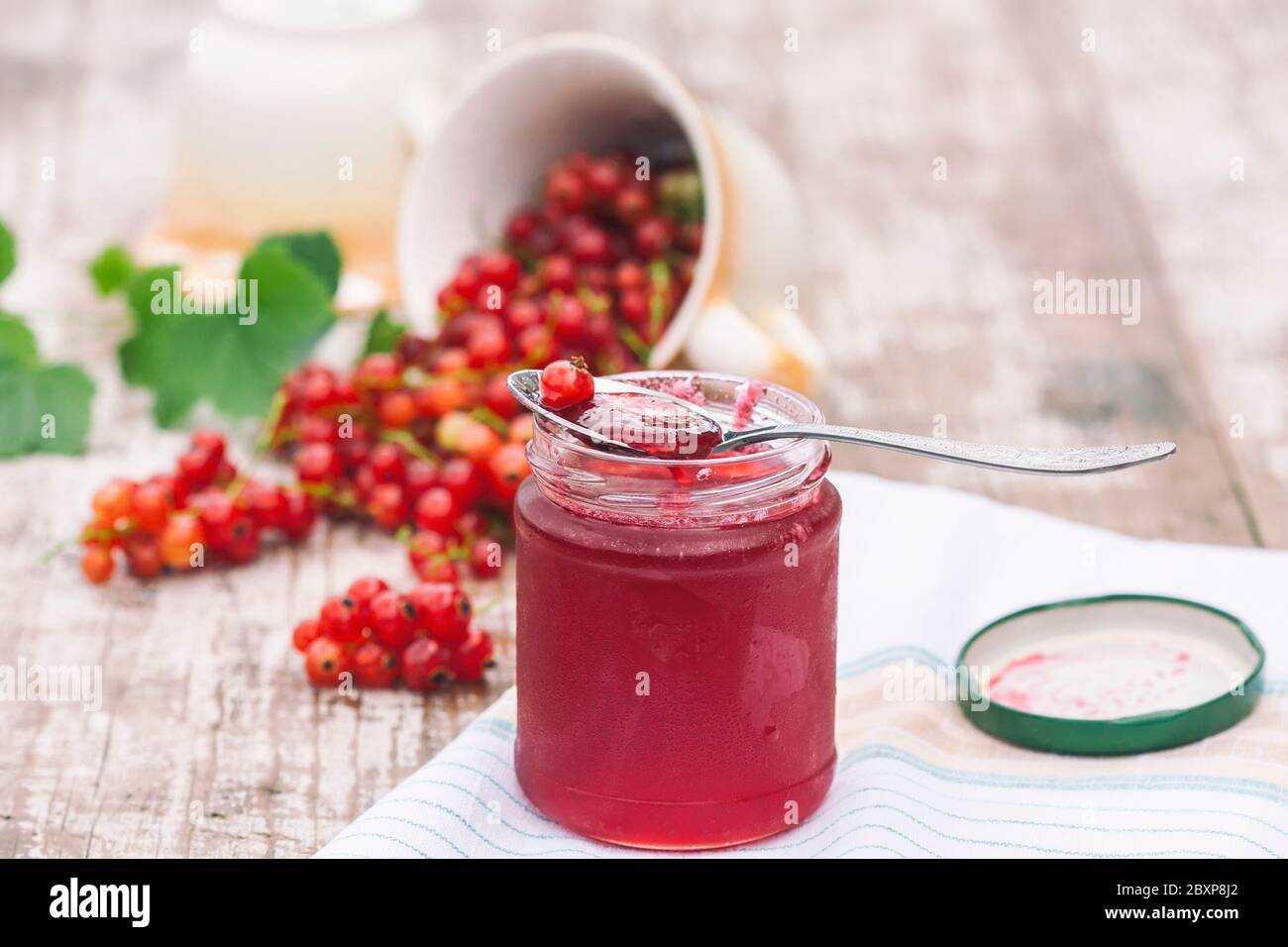 Rote Johannisbeeren und ein Glas Marmelade im Garten. Tageslicht. Selektiver Fokus Stockfoto