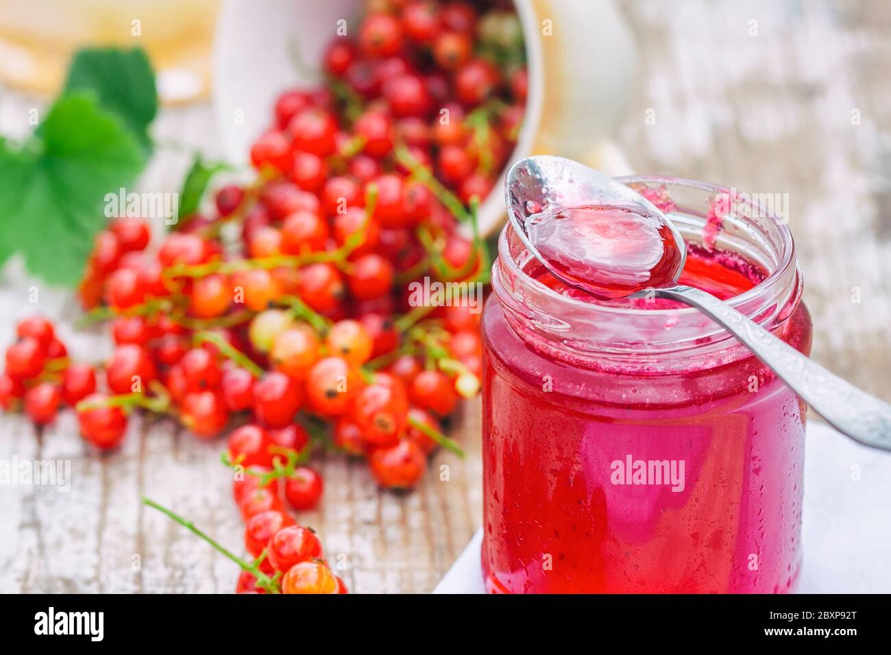 Rote Johannisbeeren und ein Glas Marmelade im Garten. Tageslicht. Selektiver Fokus Stockfoto