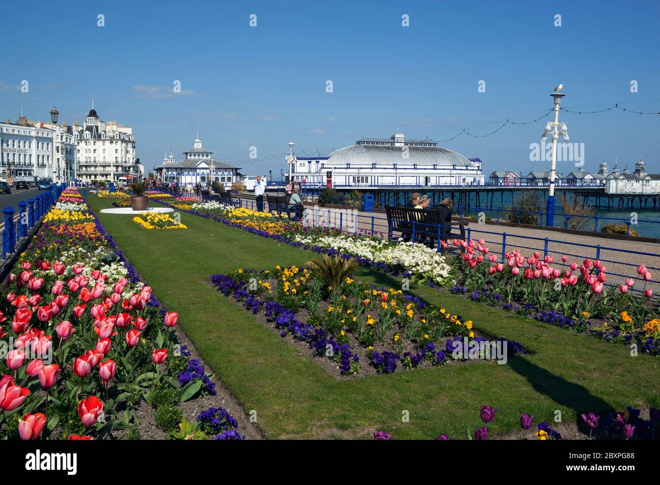 Blick auf die Promenade Gardens zum Eastbourne Pier in Spring, Eastbourne, East Sussex, England, Großbritannien Stockfoto