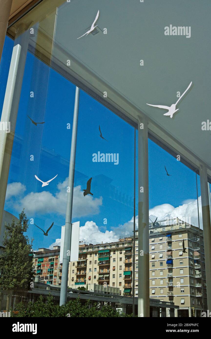 Vögel Aufkleber auf Glas für Vogelschlag Prävention, La Spezia, Italien Stockfoto
