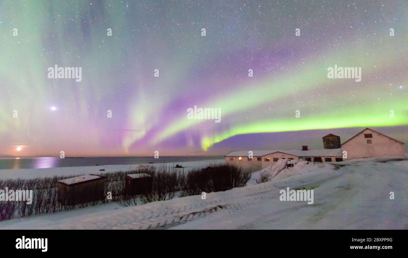 Wunderschöne Aurora Borealis oder besser bekannt als Nordlichter Blick in Island im Winter Stockfoto