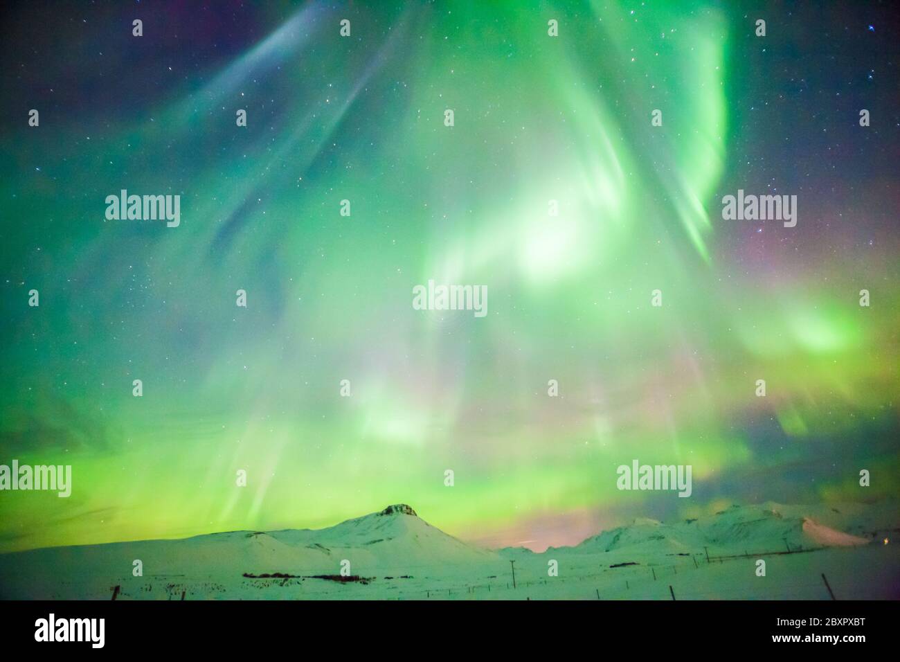 Schöne Aurora Borealis oder besser bekannt als die Nordlichter für die Hintergrundansicht in Island, Snaefellsnesvegur im Winter Stockfoto