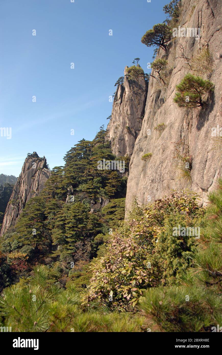 Berg Huangshan in der Provinz Anhui, China. Landschaftlich schöner Blick auf Berggipfel, Klippen und Bäume in der Westküste oder Xi Hai Canyon auf Huangshan Stockfoto