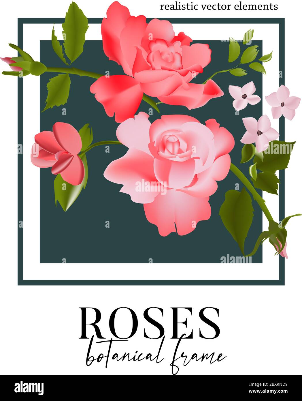Set Aquarell floralen Elemente - Wildblumen, Kräuter, Rosen, Blätter Sammlung Garten und wild. Rosa Waldkraut, Blumen, Zweige Illustration isolat Stock Vektor