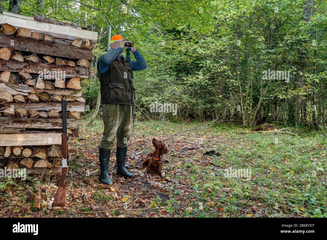 Ein Jäger steht an einem Holzstapel auf einer kleinen Waldlichtung und beobachtet das Jagdgebiet durch sein Fernglas. Stockfoto