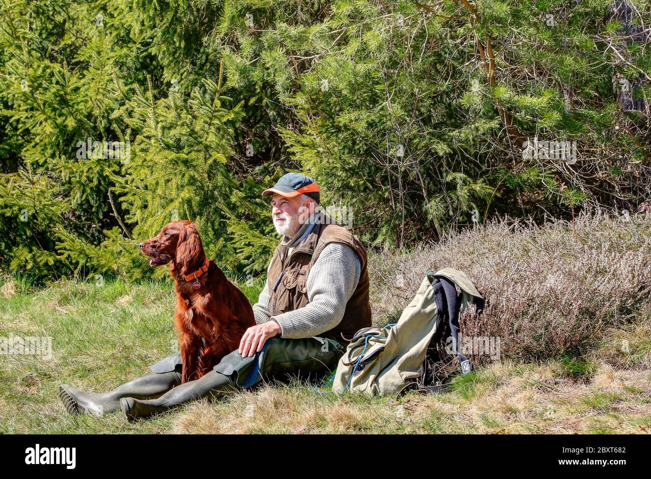 Im Schwarzwald sitzt ein Wanderer mit seinem schönen Irish Setter am Waldrand auf der Wiese und genießt den schönen sonnigen Frühlingstag. Stockfoto