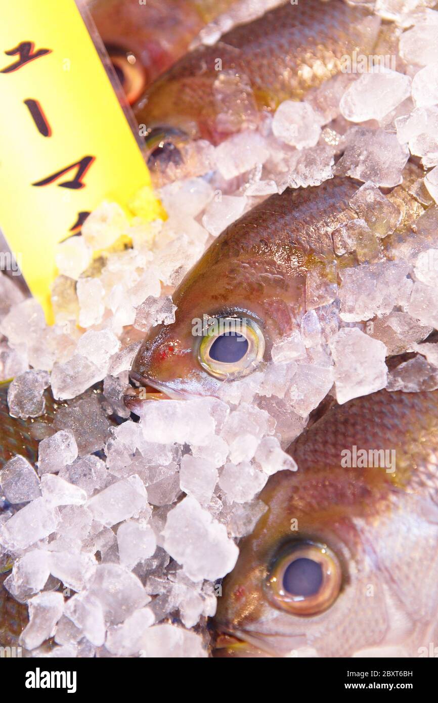 Fisch für Verkauf in japan Fischmarkt Stockfoto
