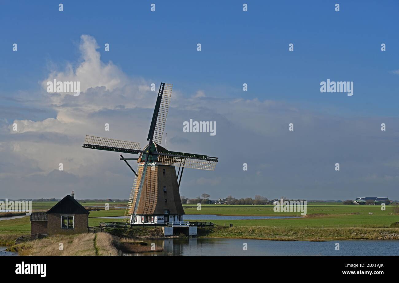 Windmühle auf der niederländischen Insel Texel Stockfoto