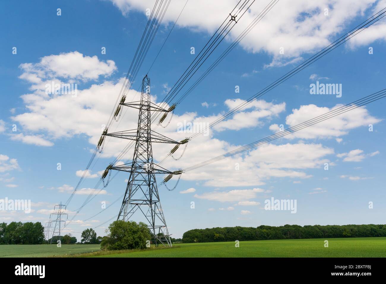 Strommasten in einem Feld mit blauem Himmel. Viel Hadham. Hertfordshire. GROSSBRITANNIEN Stockfoto