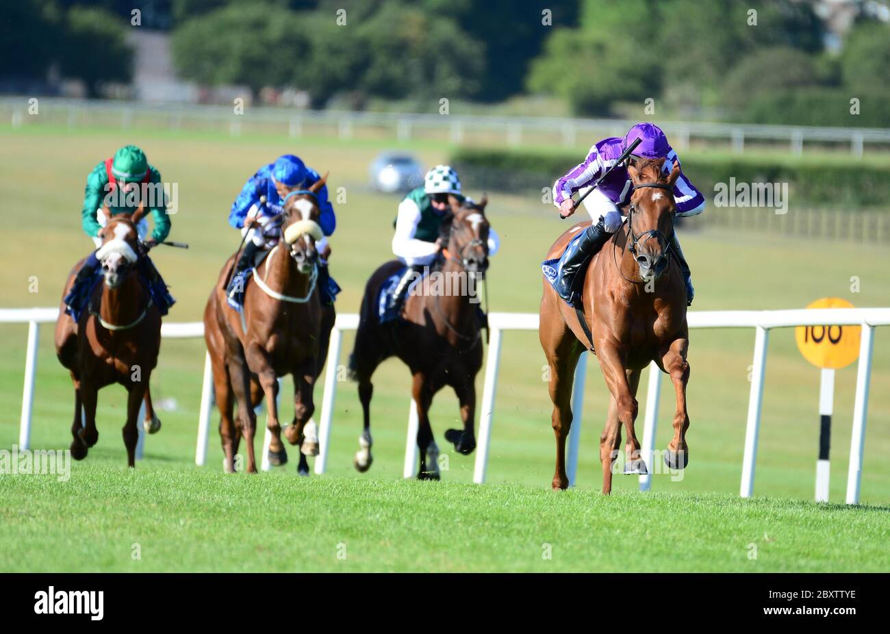 Elfin Queen unter Seamie Heffernan gewinnt die Irish Hengst Farms EBF-Stuten Maiden auf der Naas Racecourse, Co. Kildare, Irland. Stockfoto