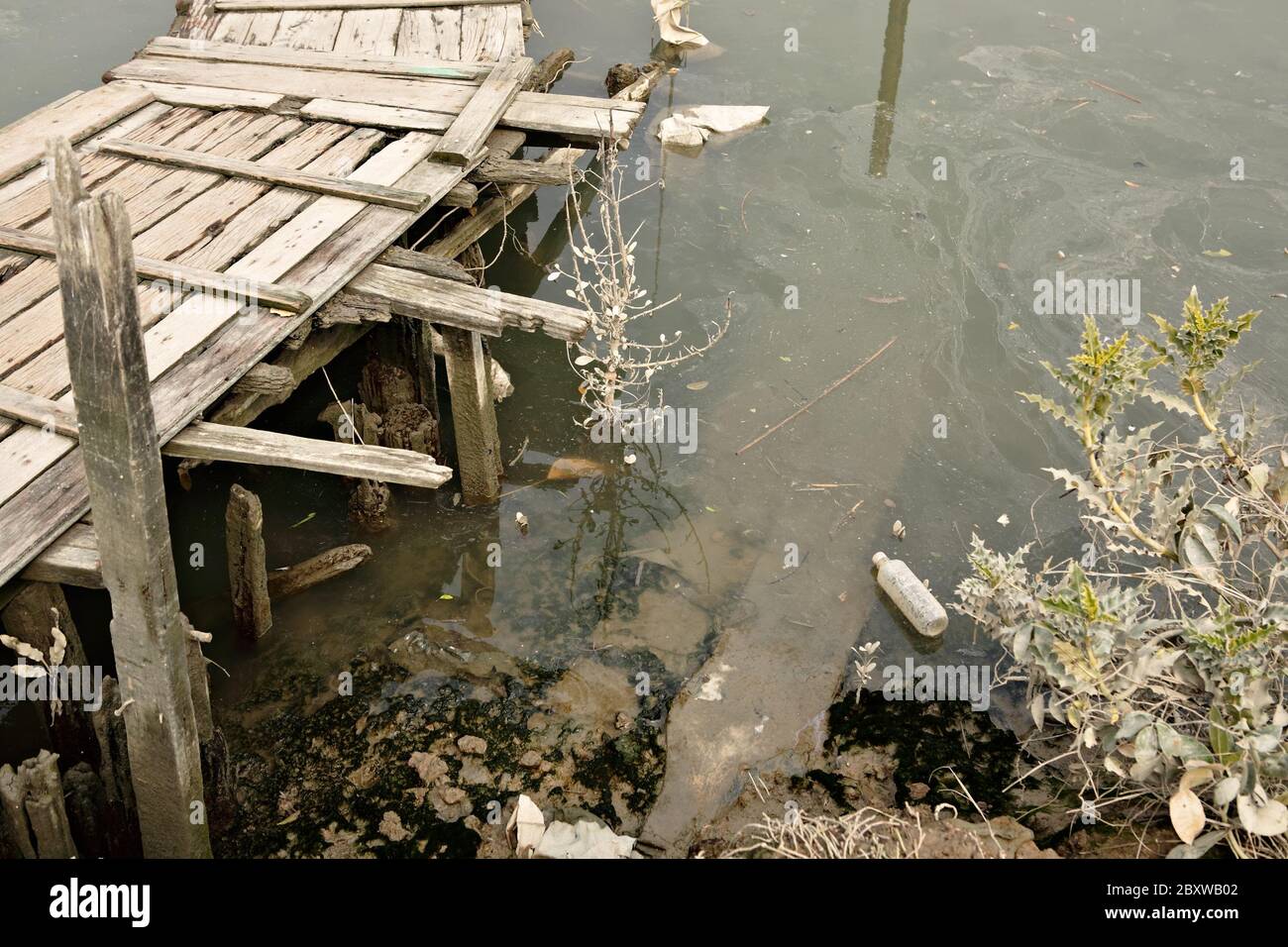 Wasserverschmutzung im Fluss Stockfoto