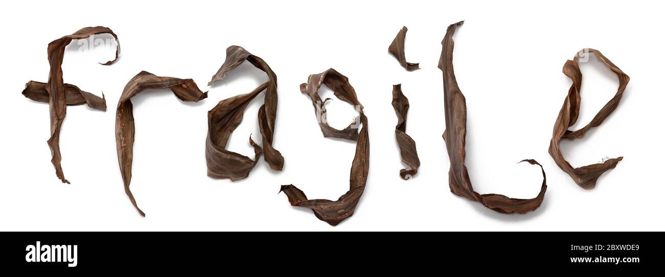 Fragile Stockfoto