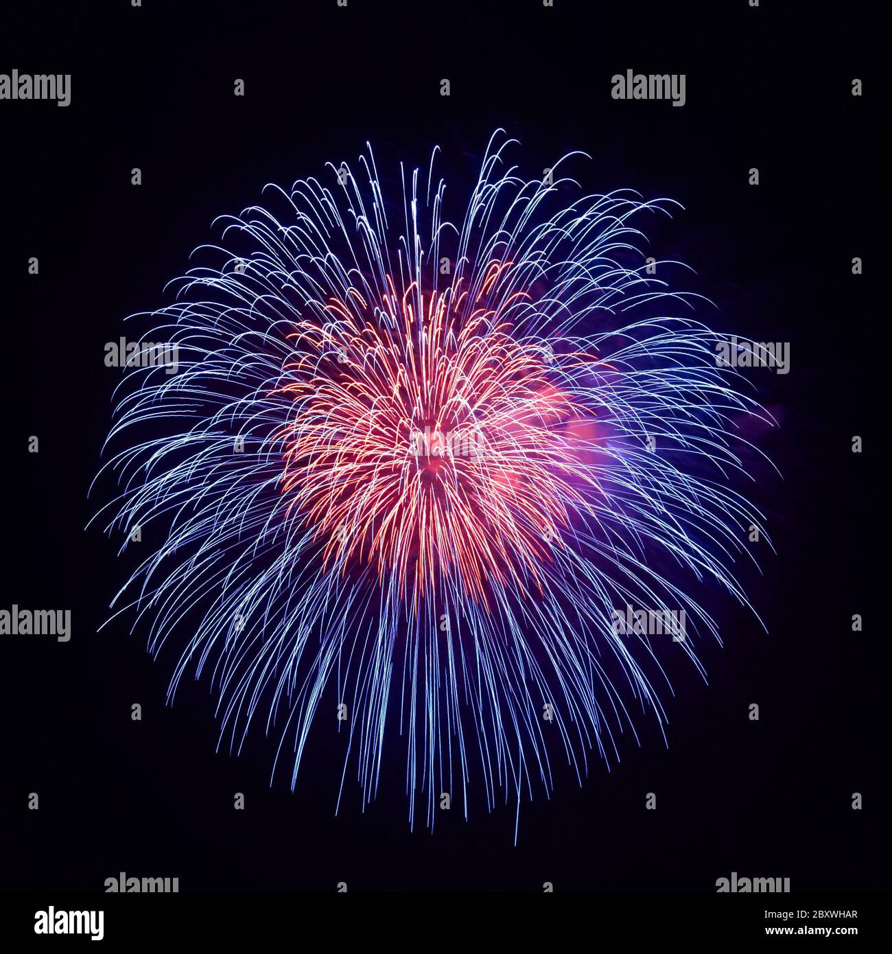 Schönen Feuerwerk Stockfoto