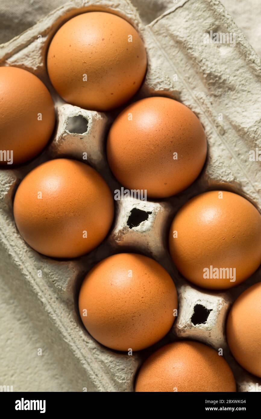 Rohe Bio-Eier Braun bereit zum Kochen Stockfoto