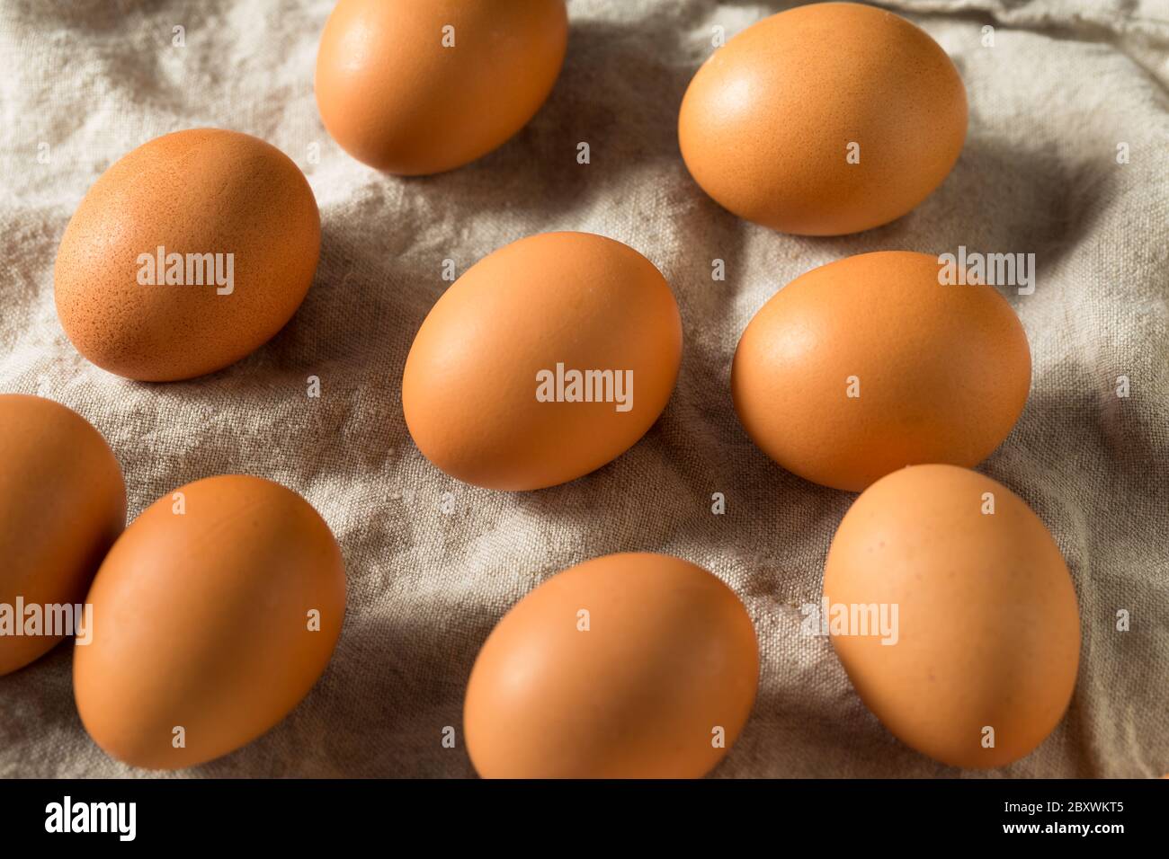 Rohe Bio-Eier Braun bereit zum Kochen Stockfoto