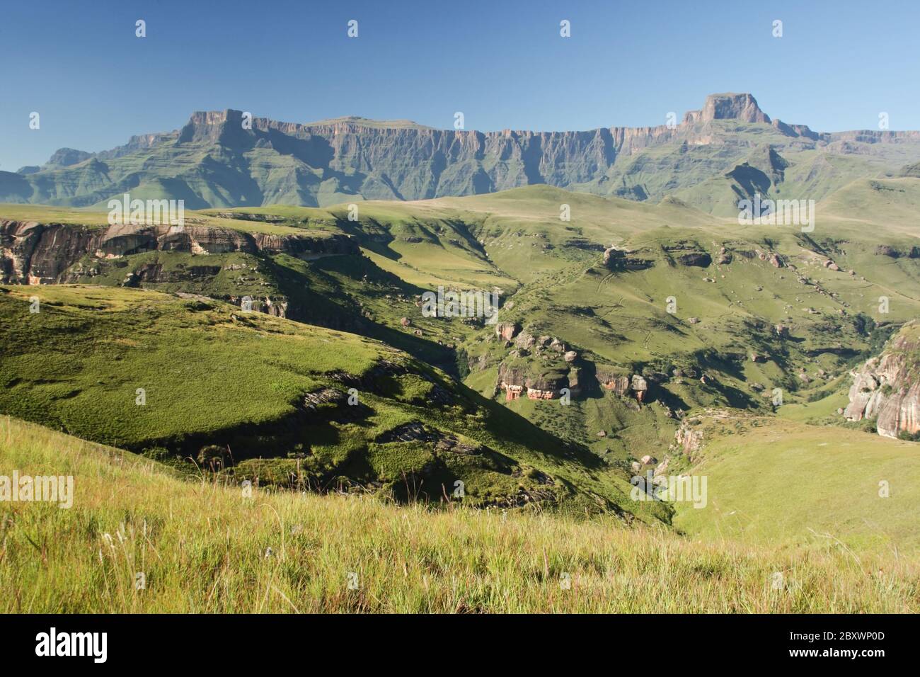 Royal Natal National Park-Südafrika Stockfoto