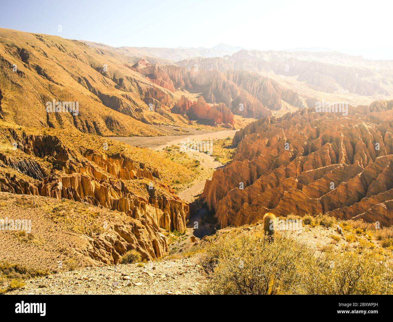 Landschaft rund um das Quebrada de Palala Tal mit erodierten, stacheligen Felsformationen, El Sillar Pass in der Nähe von Tupiza, Bolivien, Südamerika. Stockfoto
