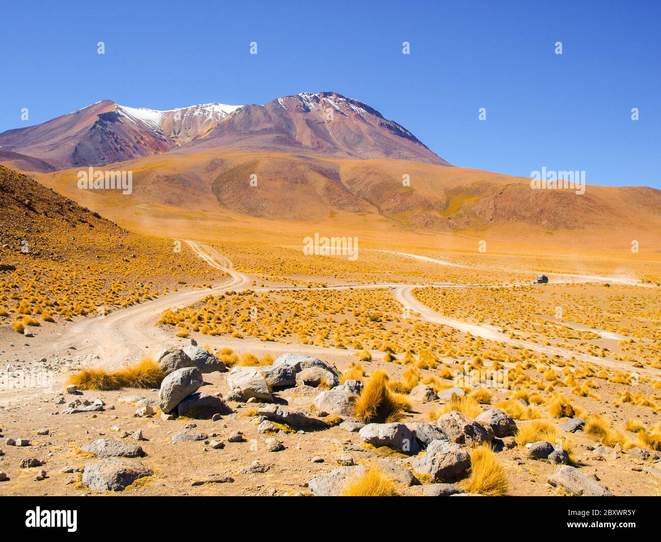 Hohe Gipfel und typische Grasklumpen in der Cordillera de Lipez, Anden Altiplano, Bolivien, Südamerika. Stockfoto