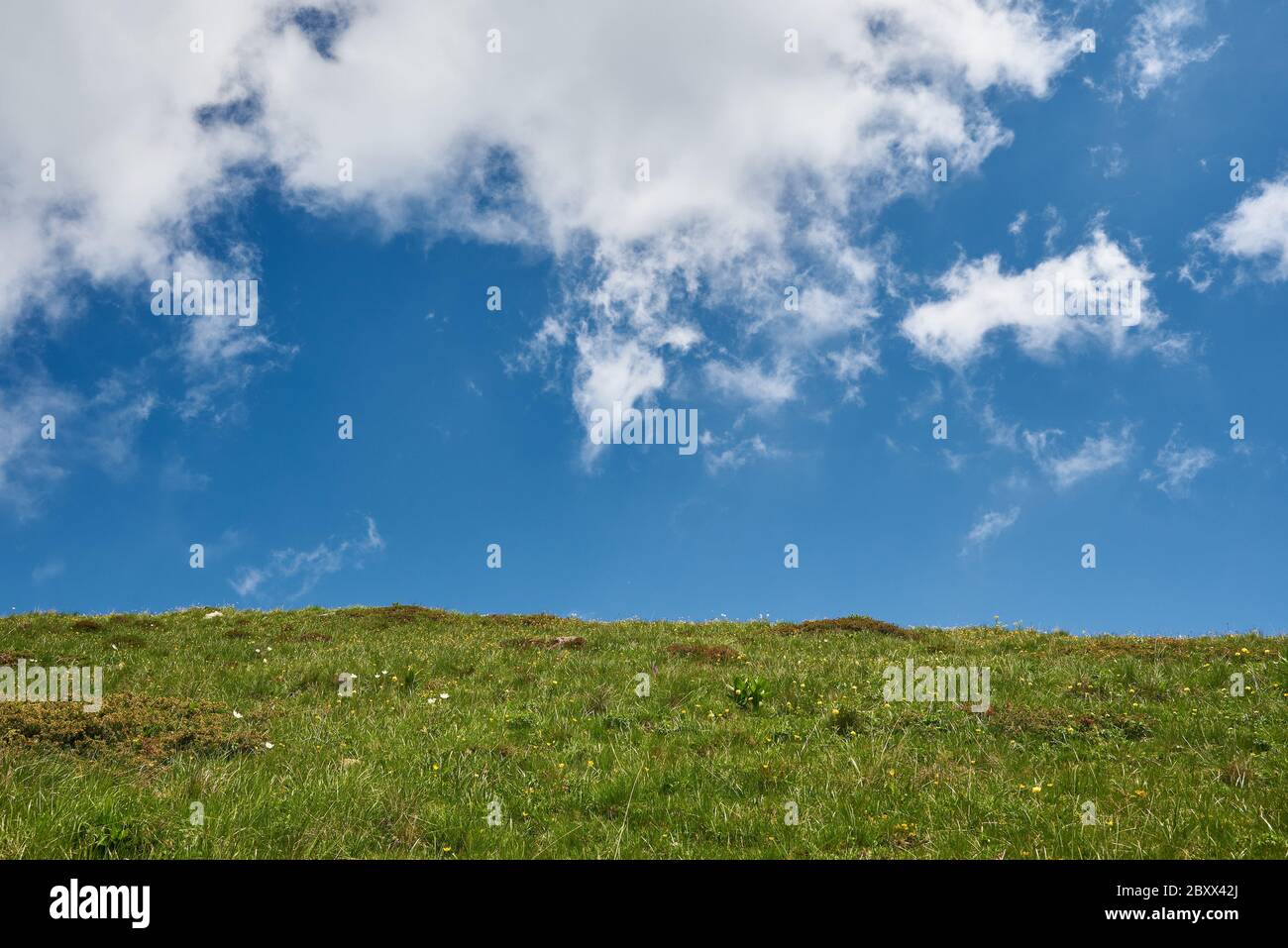 Grüner Hügel und blauer Himmel mit weißen Wolken, schlichtes Bild Stockfoto