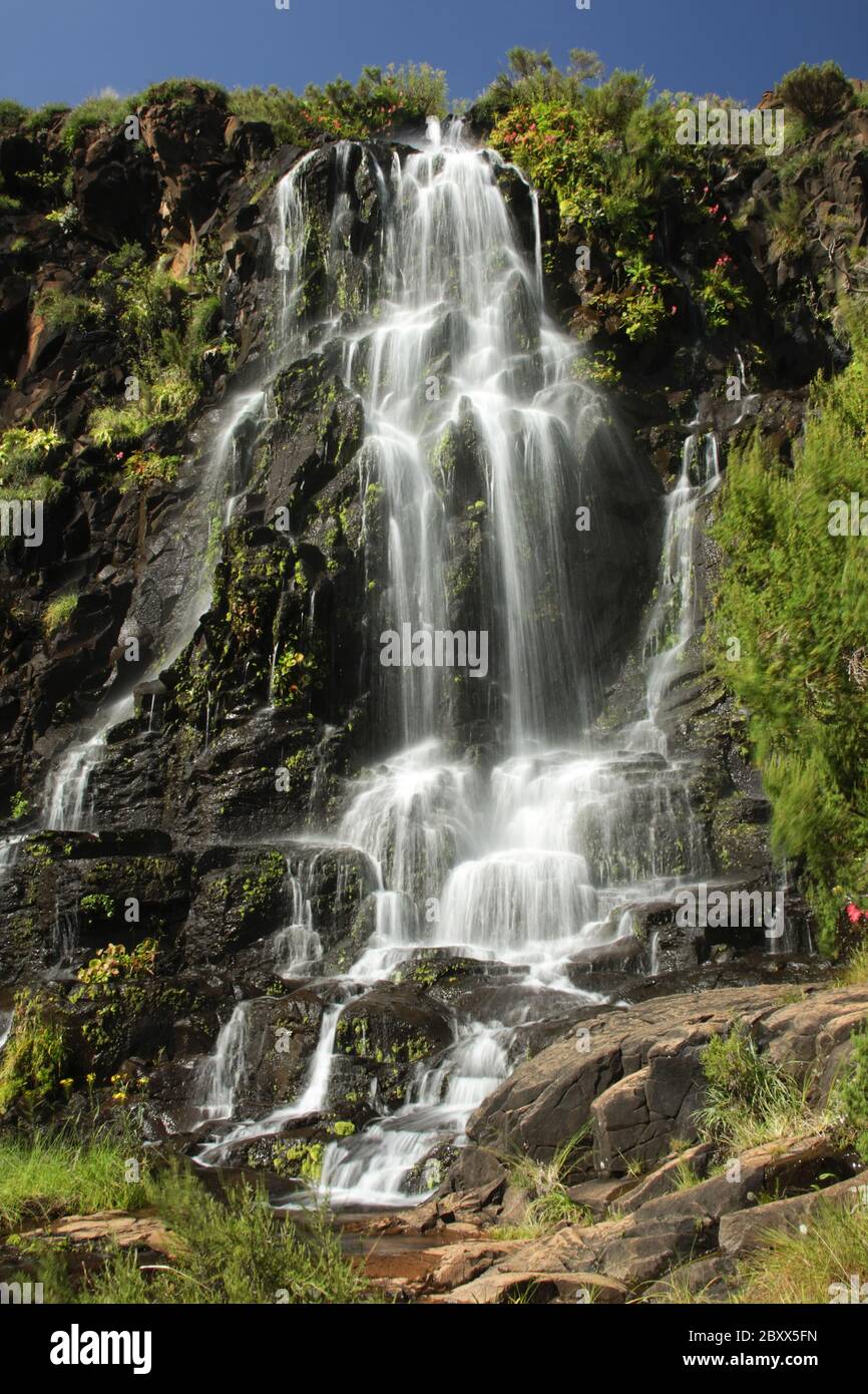 Royal Natal National Park-Südafrika Stockfoto