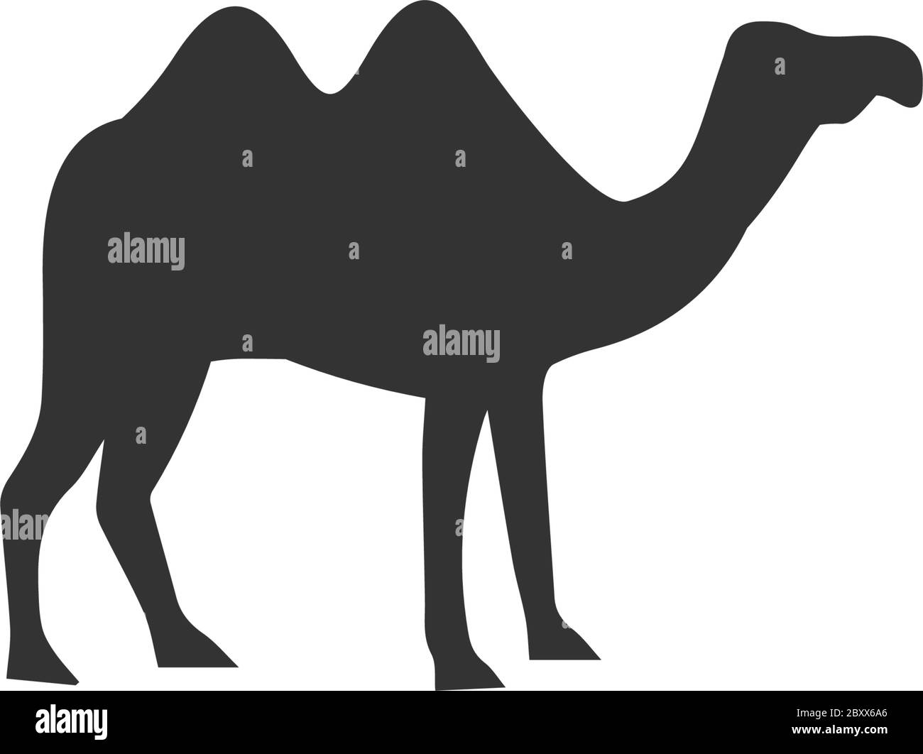 Kamel. Schwarzes Symbol flach auf weißem Hintergrund Stock Vektor