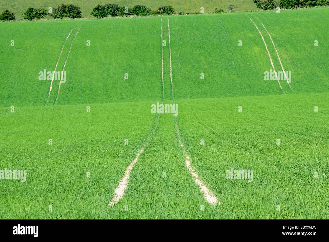 Gerade Bahngleisbahnen im Kreidegrund zeigen durch das eintauchende gemähte grüne Rollfeld in den Sussex-Hügeln Stockfoto