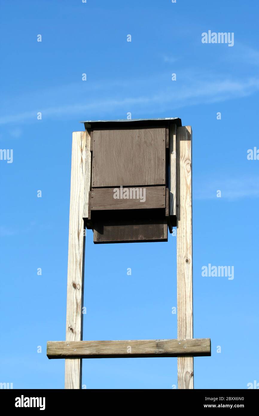 Eine Fledermaus Haus gegen den blauen Himmel Stockfoto