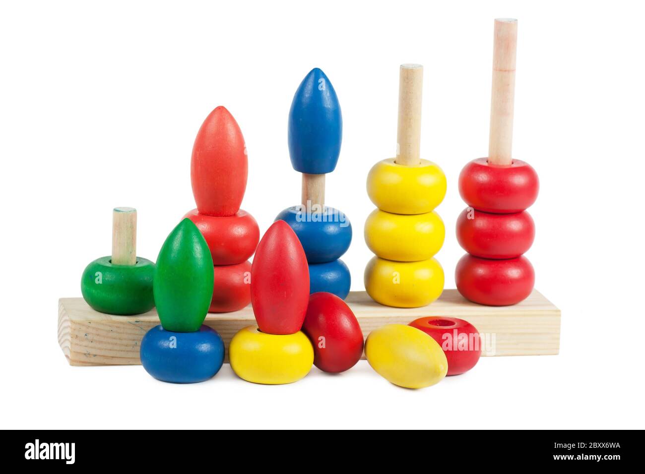 Entwicklungsbiologie Spielzeug Stockfoto