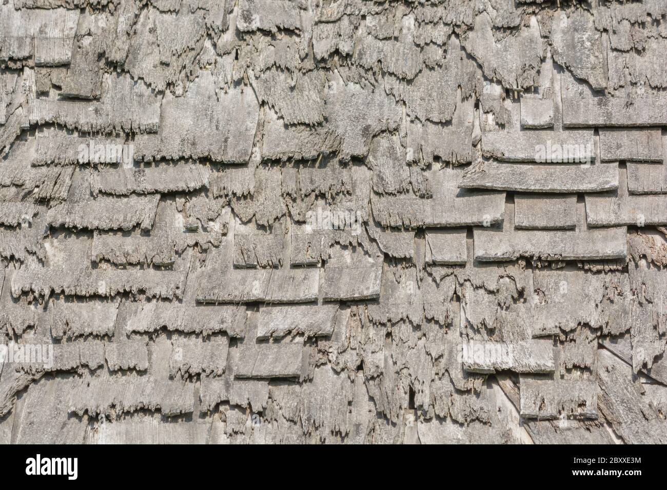 Wind und Regen beschädigten alte Holzschindel / Holzschlag Dach in schlechten Zustand, und muss ersetzt werden. Metapher Geisteskrankheit, schuppige Person, bekam eine lose Schiefer. Stockfoto
