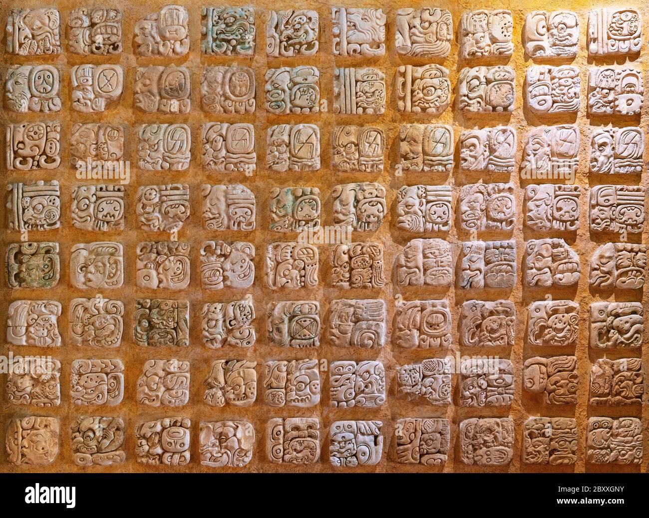 Maya hieroglyphen Fotos und Bildmaterial in hoher Auflösung Alamy