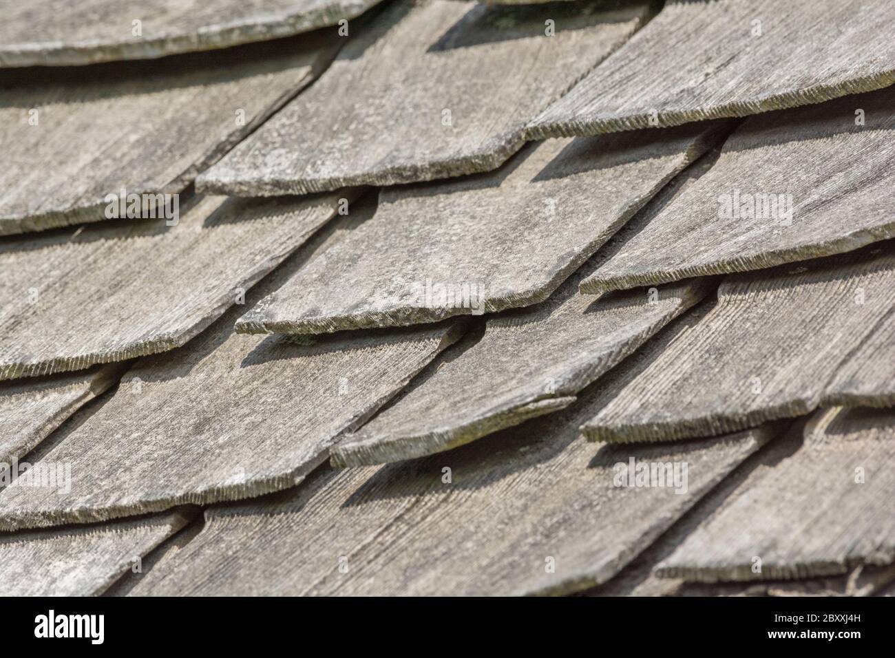 Wind und Regen beschädigten alten Holzschindeln / Holzschlag Dach in schlechtem Zustand, schlechter Zustand, und muss ersetzt werden. Idiom bekam einen Schiefer lose, & geistige Krankheit. Stockfoto