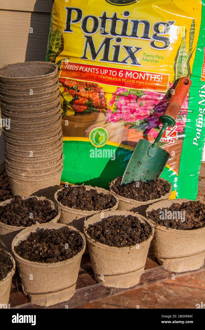 Bereiten Sie sich für die Umpflanzung oder das Pflanzen von Samen direkt mit biologisch abbaubaren Torf Töpfe. Sie werden aus Sphagnum Torfmoos und Holzfleisch hergestellt und sind 10 Stockfoto