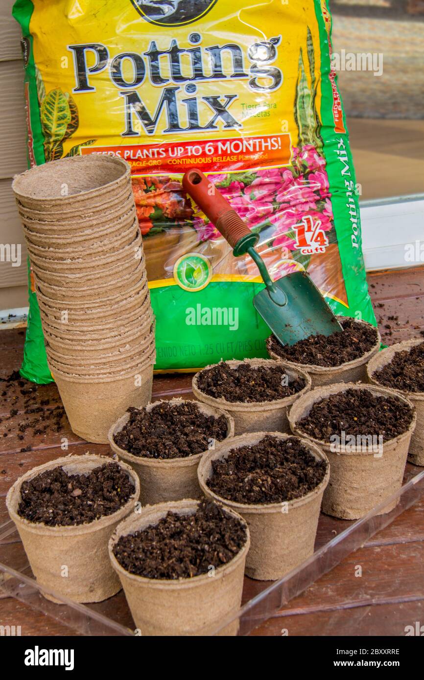 Bereiten Sie sich für die Umpflanzung oder das Pflanzen von Samen direkt mit biologisch abbaubaren Torf Töpfe. Sie werden aus Sphagnum Torfmoos und Holzfleisch hergestellt und sind 10 Stockfoto