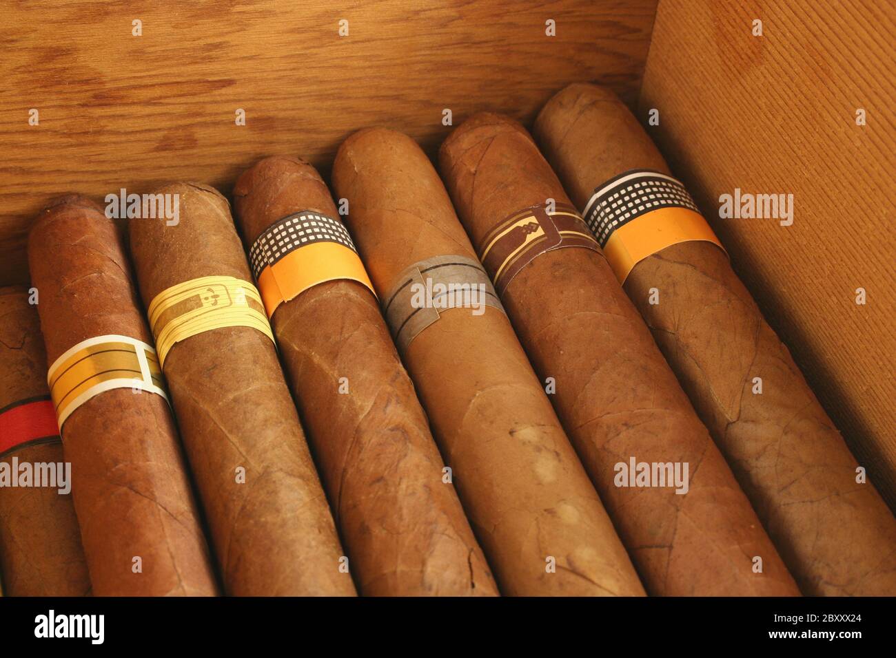 Zigarren im humidor Stockfoto