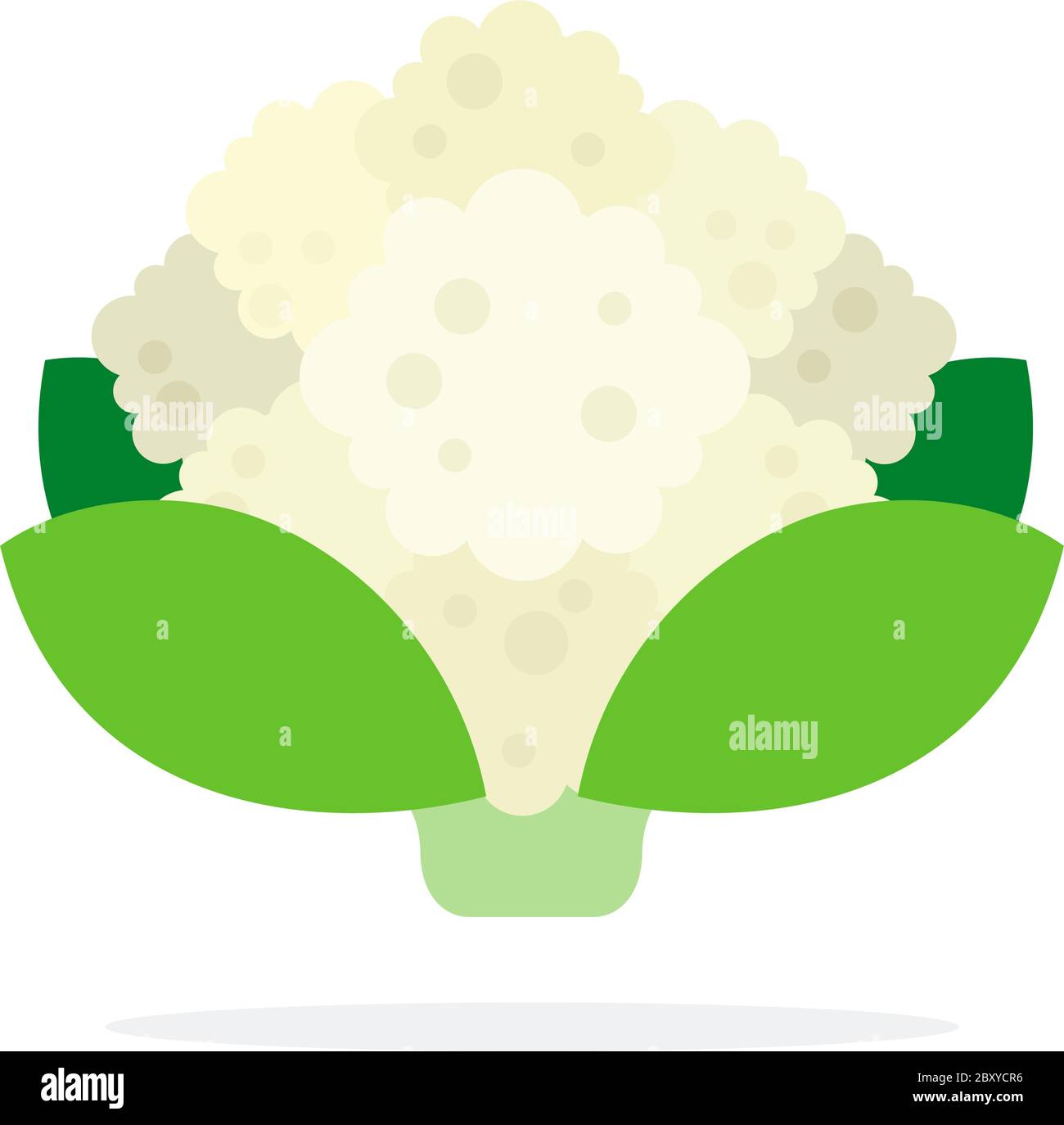Blumenkohl Stock Vektor