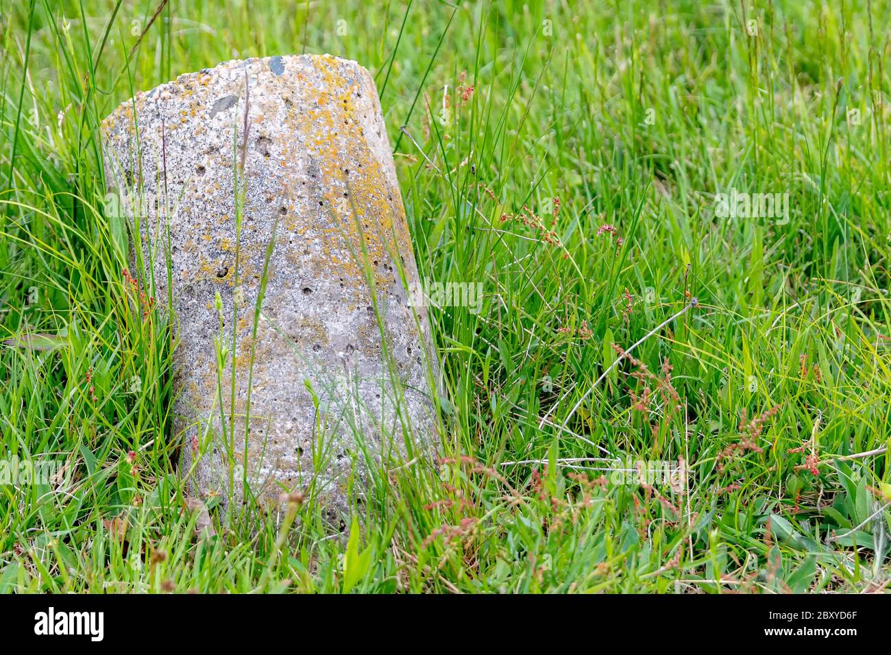 Ein kleiner Betonzylinder, der in einem Winkel in einem Feld ruht. Stockfoto