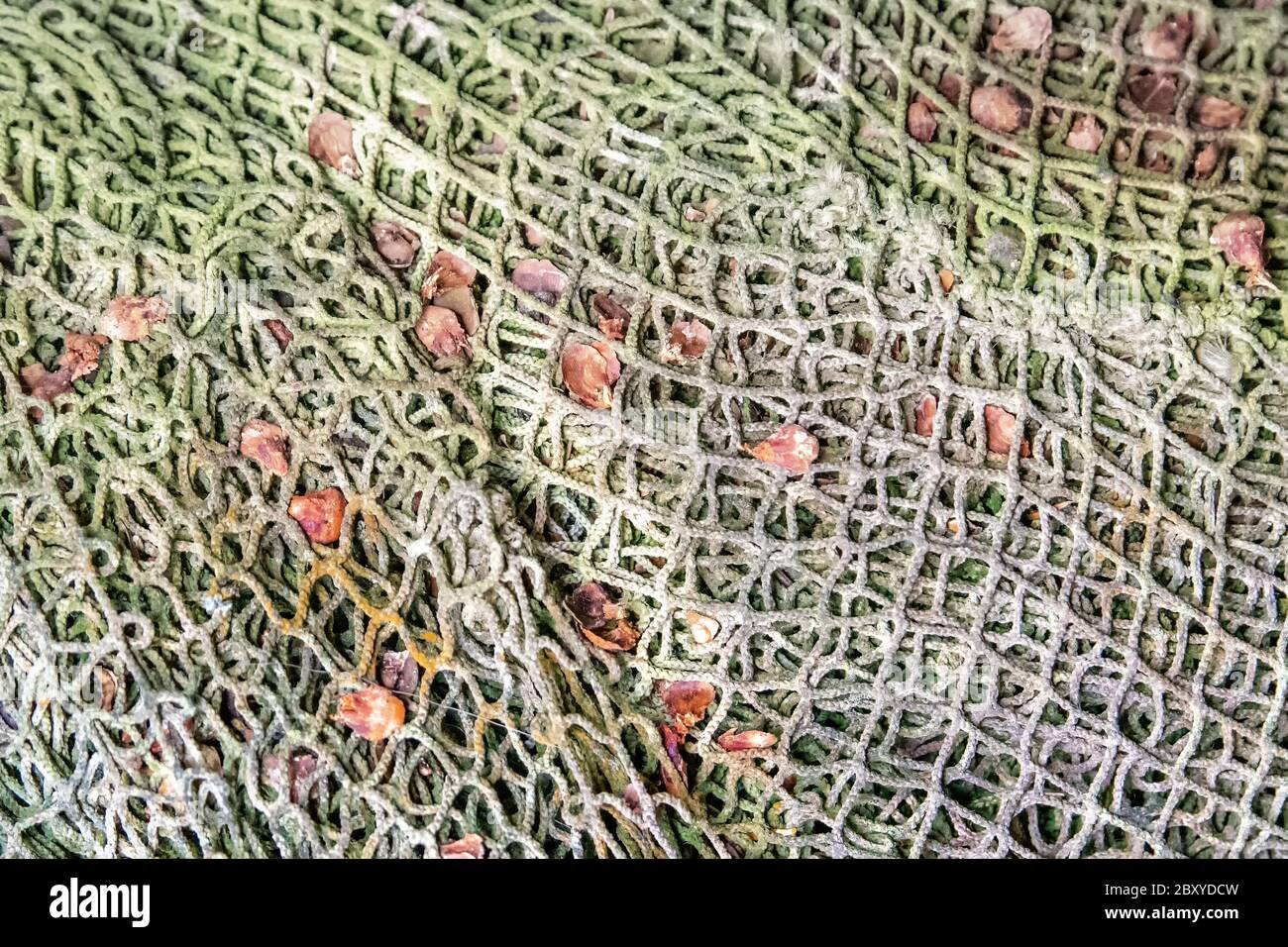Ein Nahaufnahme eines alten, verblichenen grünen Fangnetzes, das in einem Haufen liegt. Ein paar Kegel von Kiefern im Netz. Stockfoto
