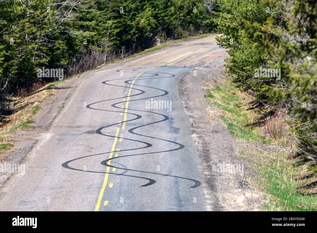 Wellige Skid-Markierungen auf einer zweispurigen Autobahn. Marken und in einer vorbeifahrenden Zone. Bäume auf beiden Seiten der Straße. Die Straße biegt an Skid-Markierungen vorbei ab. Stockfoto