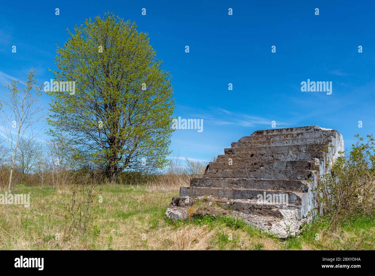 Eine alte Reihe von führt bis ins nichts. Die Treppen bröckeln stellenweise und haben Moos und Flechten auf ihnen. Baum im Hintergrund, blauer Himmel oben. Stockfoto
